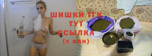 apvp Богородицк