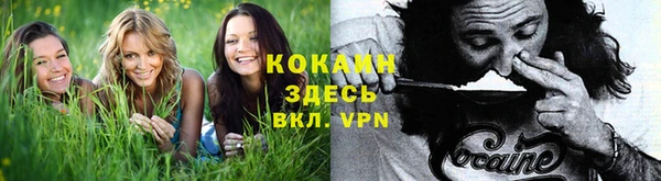 амф Бронницы